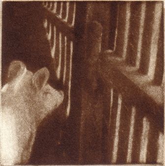 bizalom_8_v.jpg bizalom_8_v.jpg